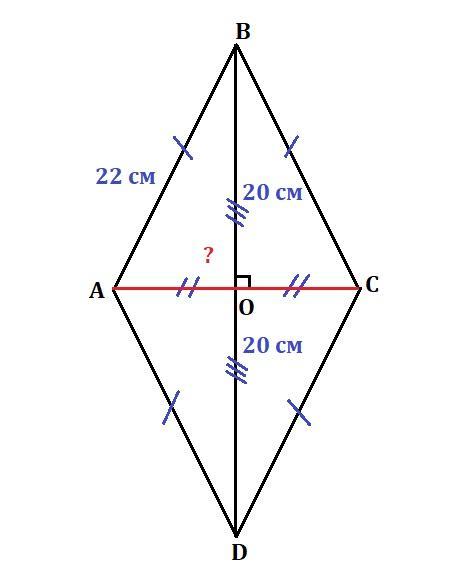 Диагонали ромба равны 20 и 48 см. Прямые содержащие стороны ромба. Проекции диагоналей ромба. Углы ромба равны. В ромбе сторона 22, а одна из диагоналей.