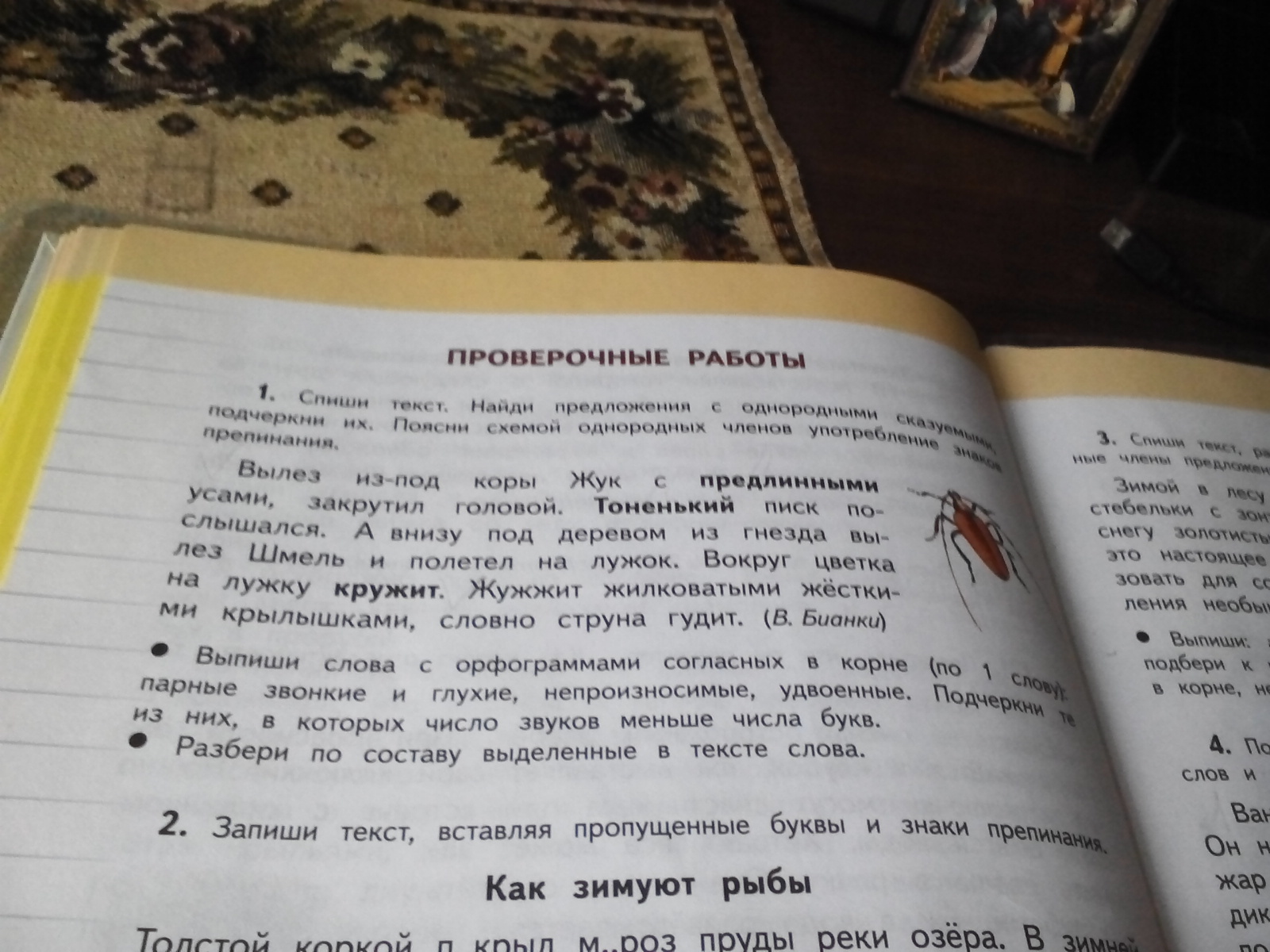 В первом предложении найди. Текст с однородными сказуемыми. Найди в тексте однородное сказуемое. Найди в тексте предложение с однородными сказуемыми. Выписать из текста однородные сказуемые.