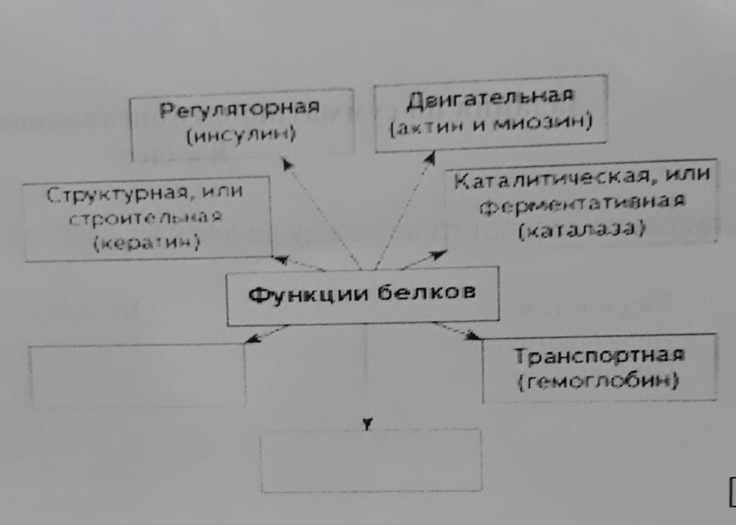 Заполните недостающие звенья схемы. Восполните в схеме недостающее звено. Дополни схему впиши функции устройств. Восполните в схеме недостающее звено начало книгопечатания.