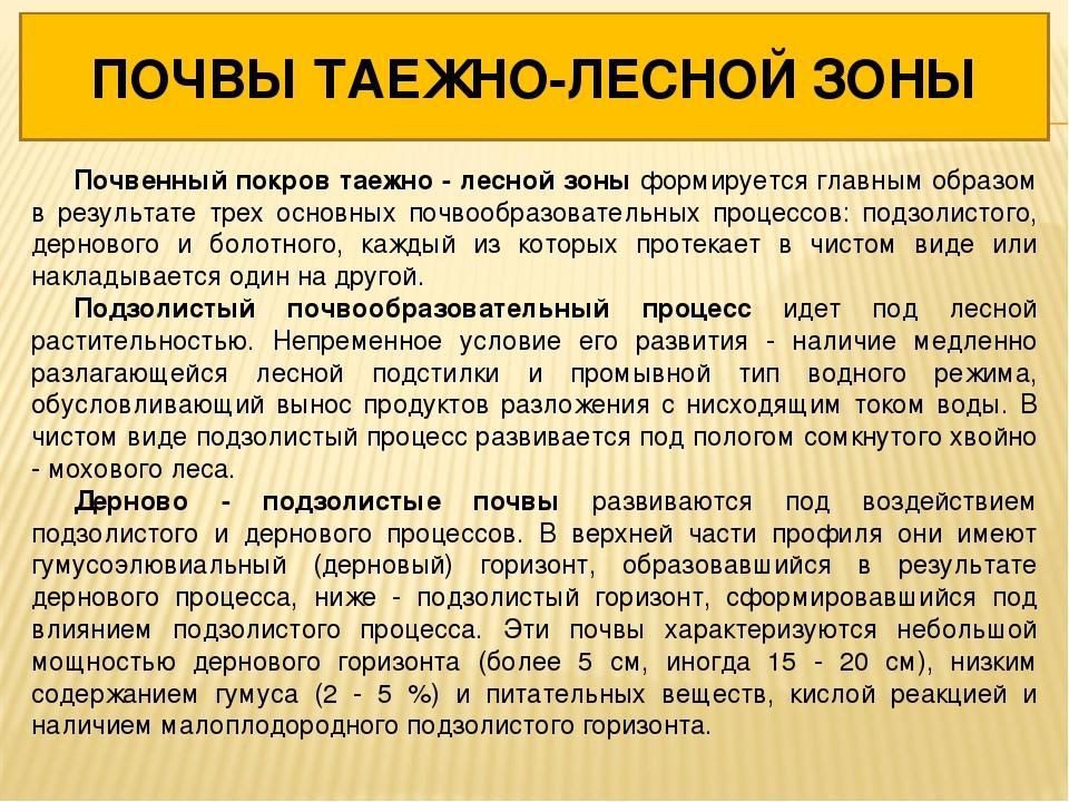 Почвы лесной зоны. Почвы таежно-Лесной зоны. Характеристика почв таежно Лесной зоны. Основные типы почв таежно-Лесной зоны:. Условия почвообразования таежно-Лесной зоны..