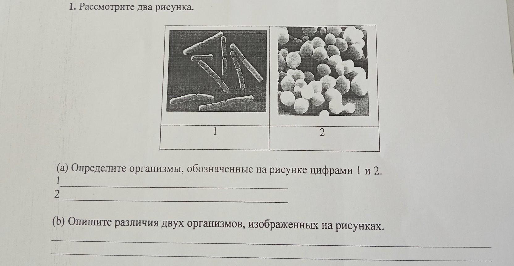 На рисунке 1 цифрой 2 обозначено