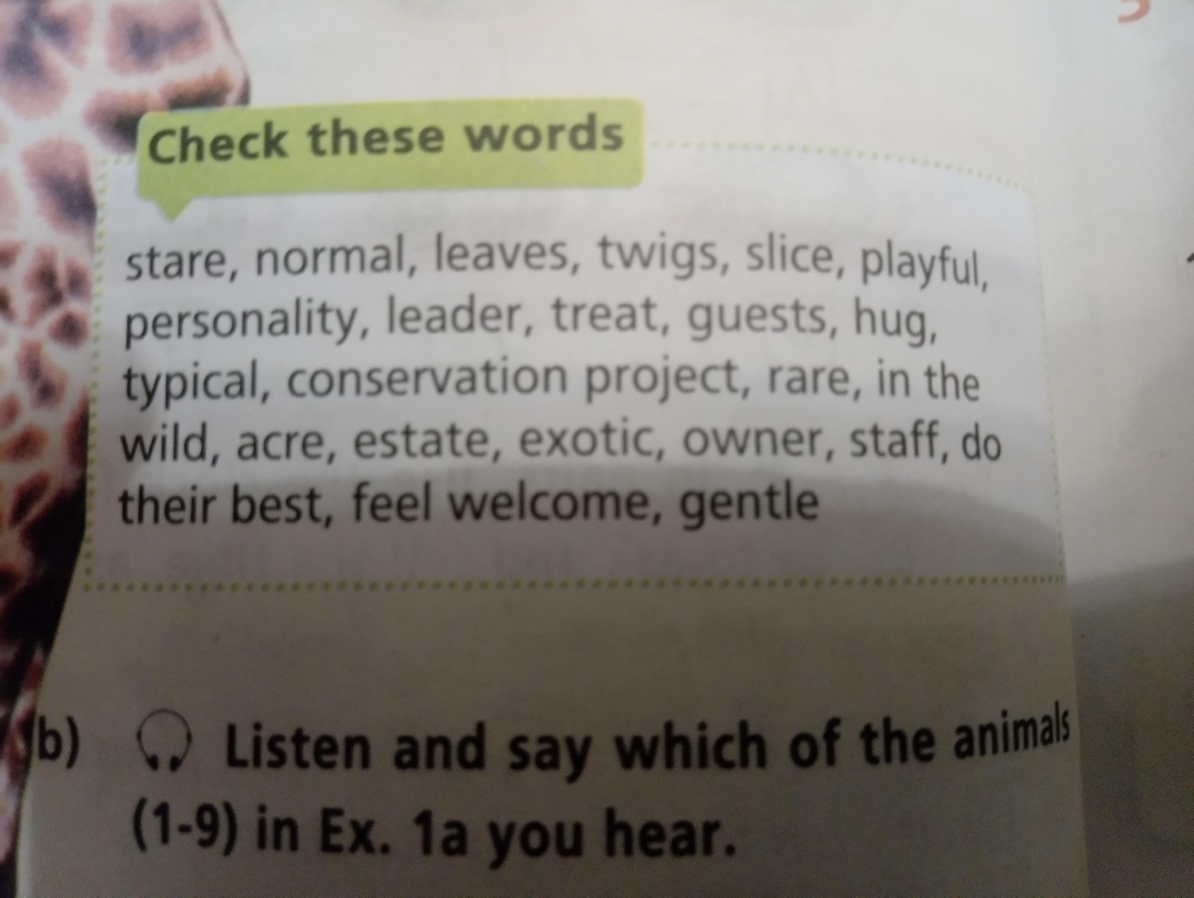 Check your words