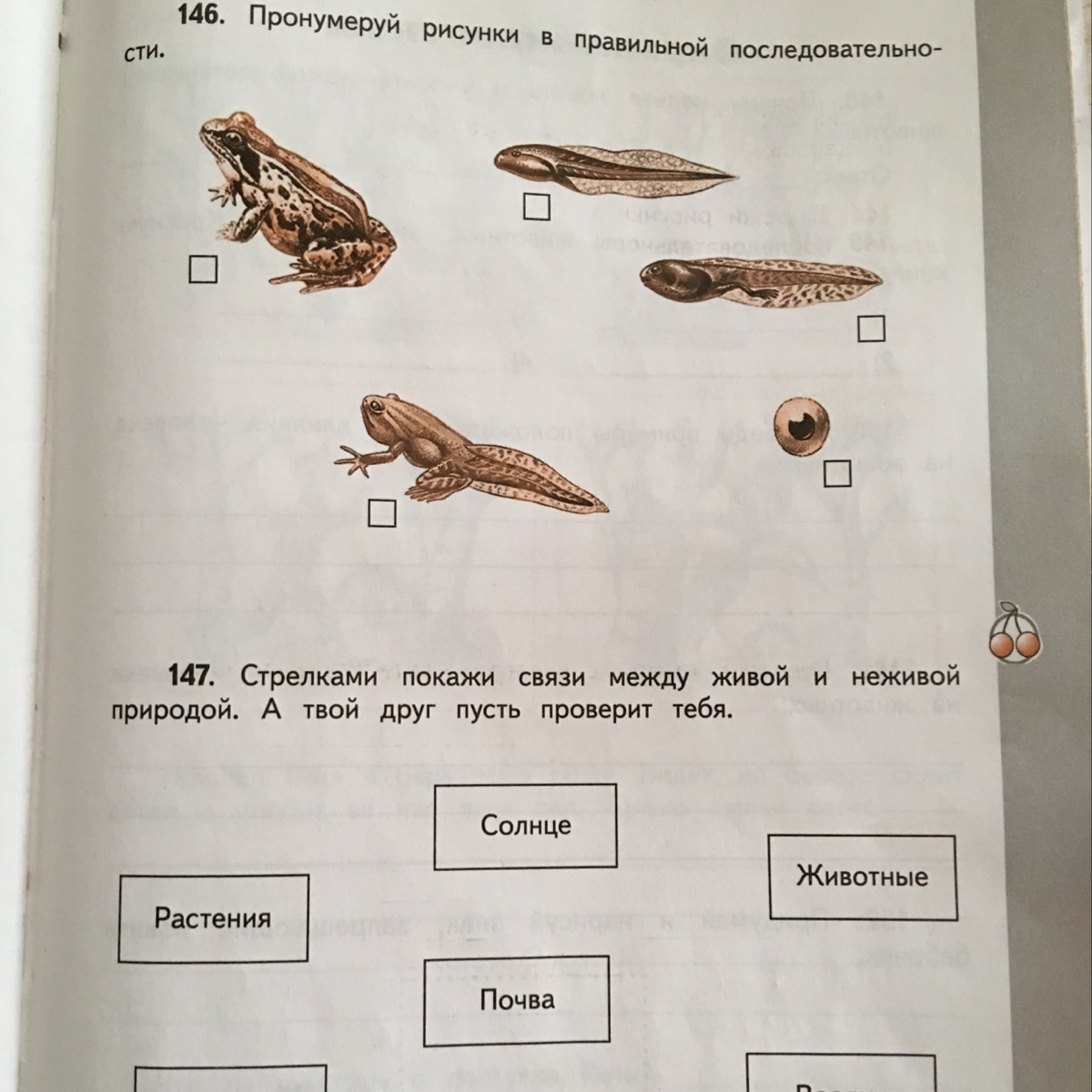 Это бригант и тюф а как по твоему выглядят грогха и клаома нарисуй