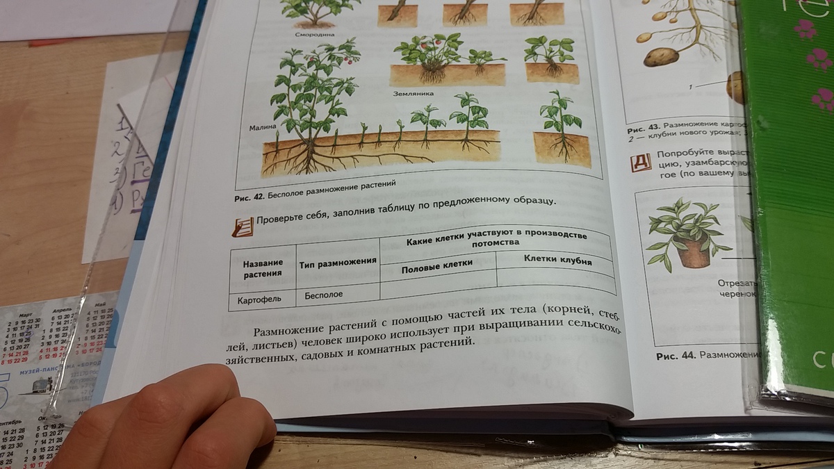 Заполните таблицу по предложенному образцу