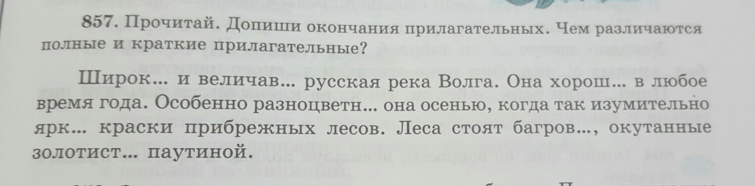 Найдите предложение без ошибки в окончании прилагательного. Допиши окончания имён прилагательных. Допиши окончания прилагательных РКИ. Задания на окончания прилагательных 4 класс.