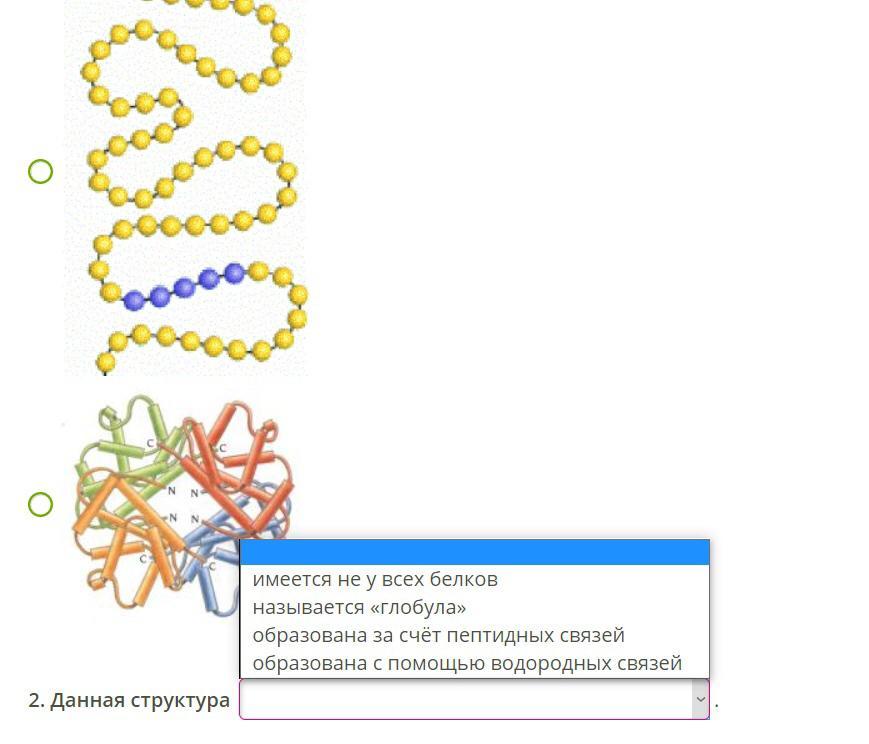 Задачи на белок биология. Четвертичная структура белка рисунок. Внутреннее строение белки. Четвертичная структура белка. 4 Структуры белка.