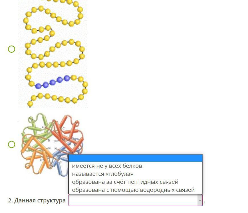 Задачи на белок биология