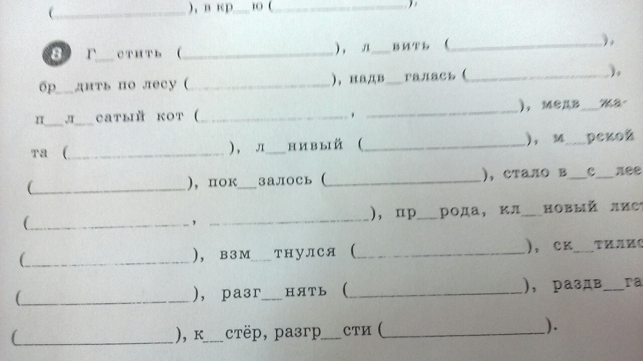 Подбери и запиши проверочные слова вставь пропущенные буквы образец ловок ловкий