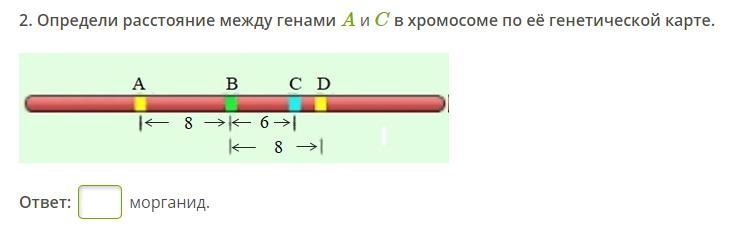 Генетическая карта отражает порядок расположения генов в хромосоме и расстояние между ними