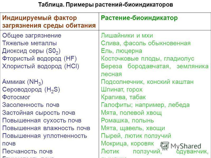 Биоиндикаторы. Растения биоиндикаторы. Организмы-биоиндикаторы среды. Биологические индикаторы примеры. Растения биоиндикаторы почвы.