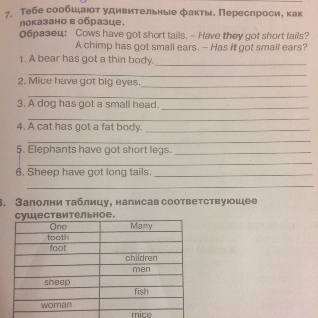 Cows have got short tails исправь. Факты переспроси как показано в образец. Cows have got short Tails переспроси как показано в образце. Переспроси как показано в образце. Заполни таблицу написав соответствующее существительное английский.