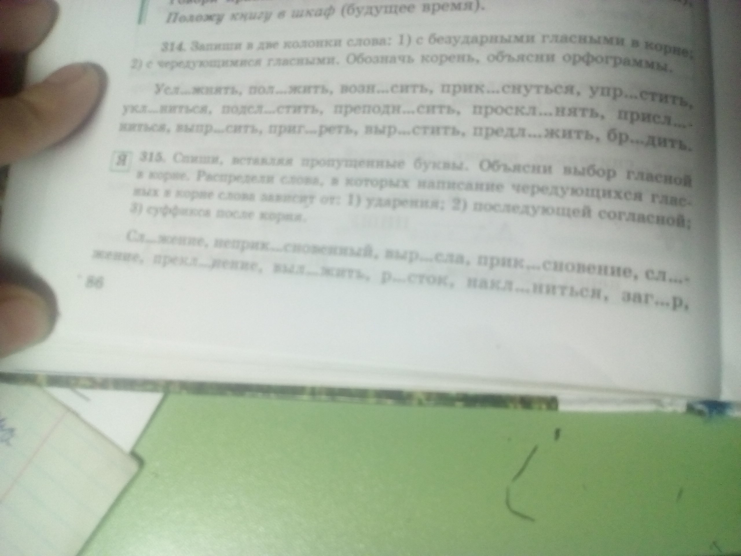 Вставьте пропущенные буквы распределите слова. Спиши вставляя буквы обьясни их написание.жёлудь,щука.