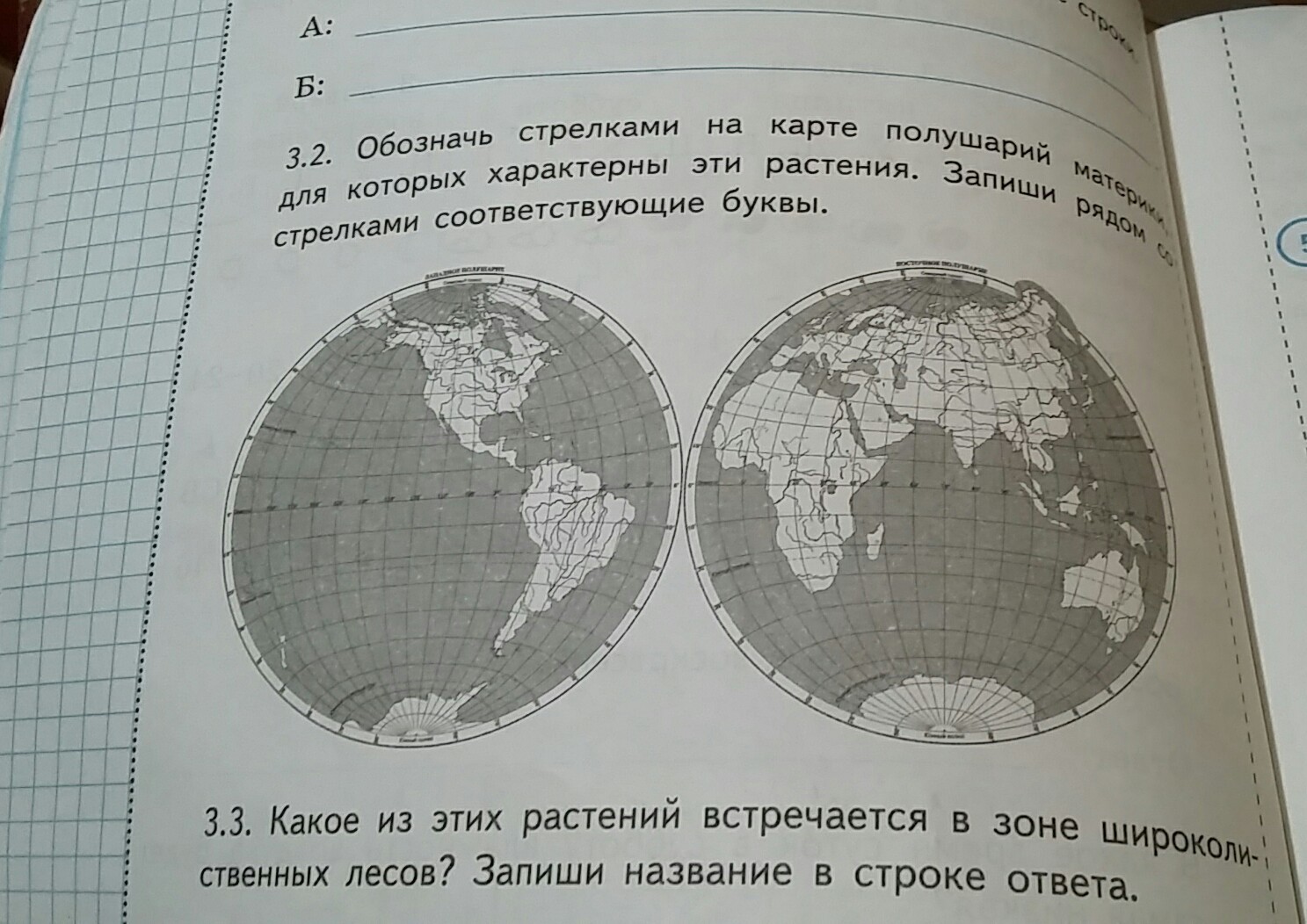 Обозначьте соответствующими буквами. Материк на котором растет дуб. На каком материке растет дуб. Где растут дубы на карте полушарий. Дуб растет на материке.