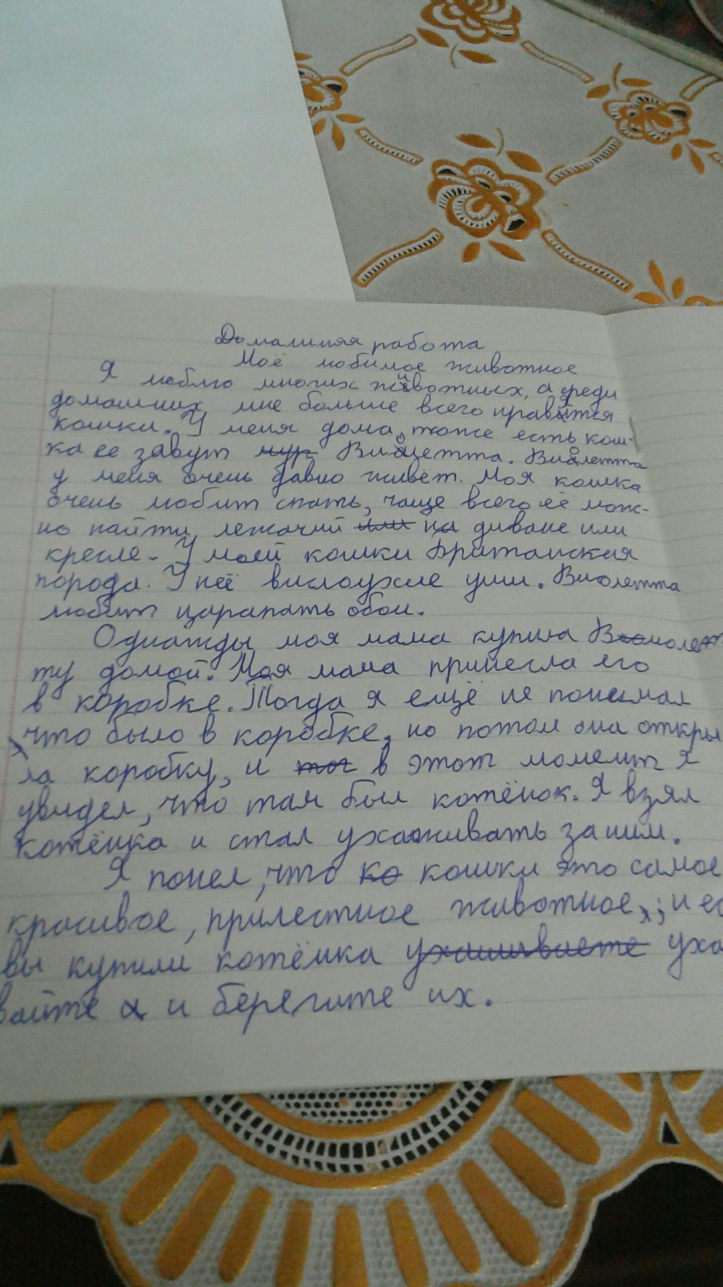 Знания сочинения. Написать сочинение онлайн. Сочинения знания побед. Сочинения знания побед 5 класс. Что дают человеку знания сочинение.