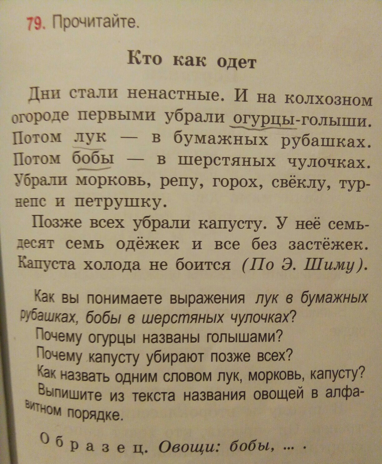 Назовем слова разнобуквицами. Задание выпиши из текста. Название текста. Текст без заголовка. Текст без заглавия.