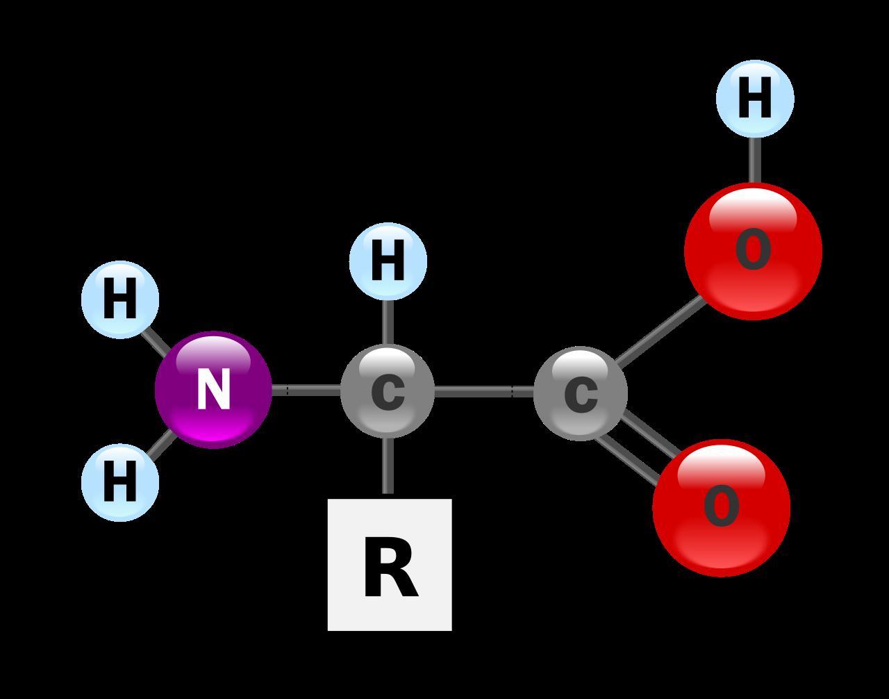 Аминокислоты аминогруппа карбоксильная группа. Аминокислоты. Молекула аминокислоты. Аминокислоты картинки. Аминокислоты структура молекулы.