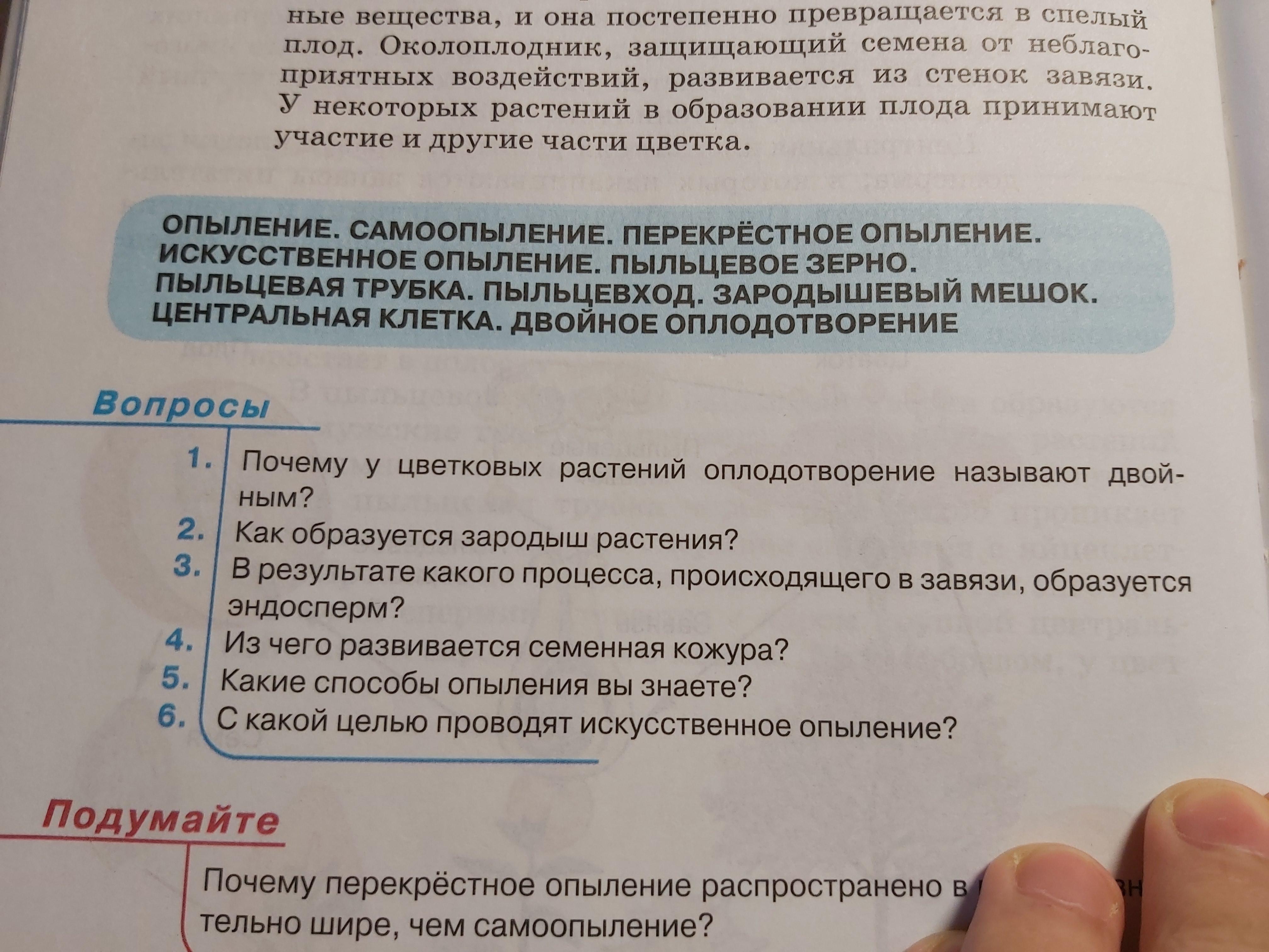 Рассмотрите рисунок и ответьте на вопросы садовые тачки предназначены для работы