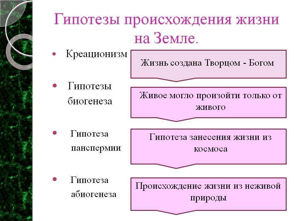 Многообразие видов результат их создания творцом по заранее намеченному плану