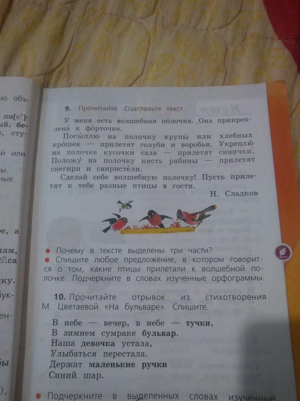 Прочитайте найдите в отрывке. Подчеркнуть в словах изученные орфограммы. Подчеркни в словах изученные орфограммы. Подчеркните в словах изученные орфограммы. Подчеркните подчеркните в словах изученные орфограммы.