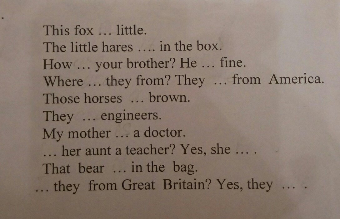 He your brother. Where is my little Hare Fox. This Fox is little. Are they from great Britain? Yes. They is.