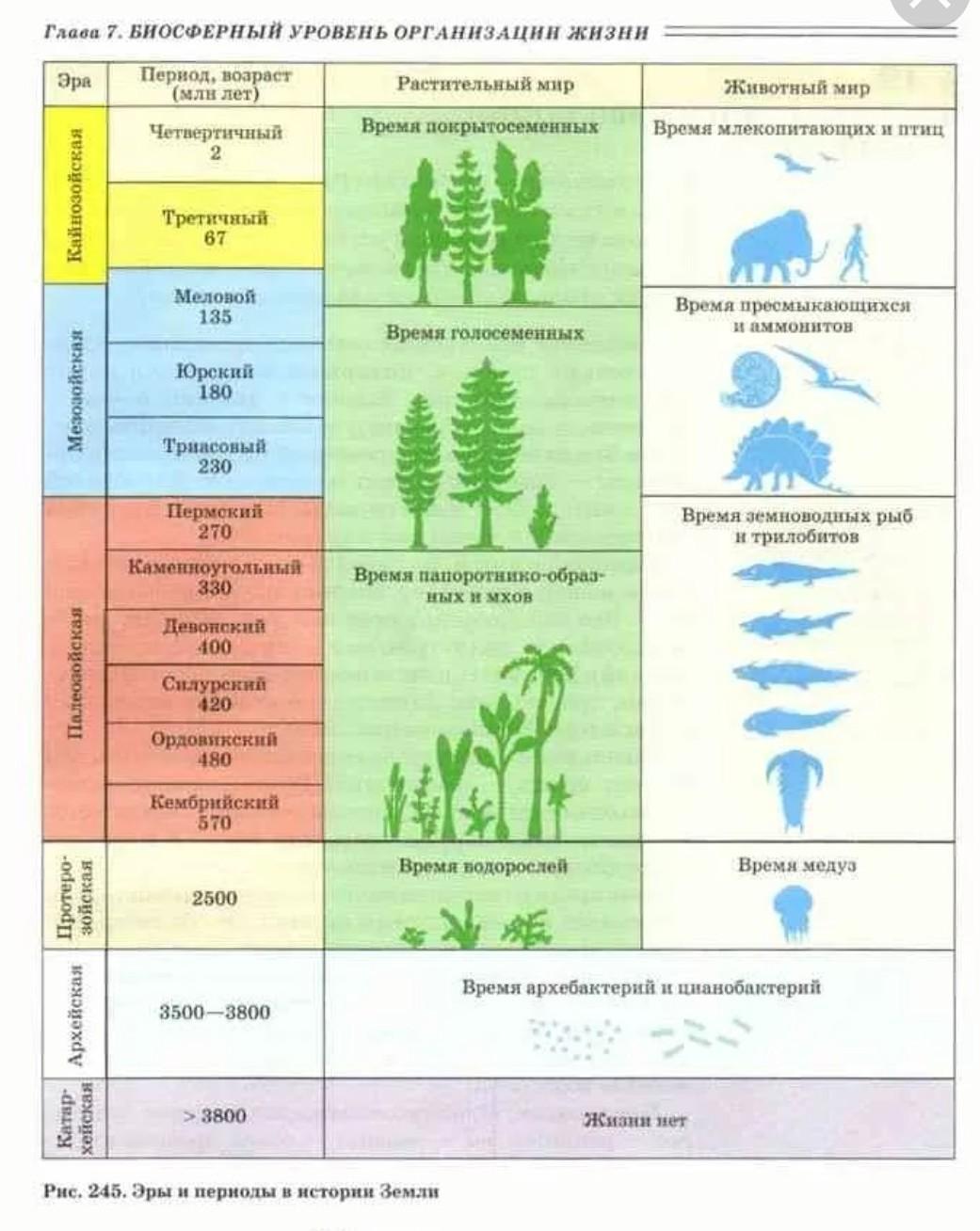 Предки живых организмов. Схема периодов развития земли. Эпохи и периоды развития жизни на земле. Этапы развития жизни на земле эры периоды и эпохи. Эры и периоды развития органического мира.