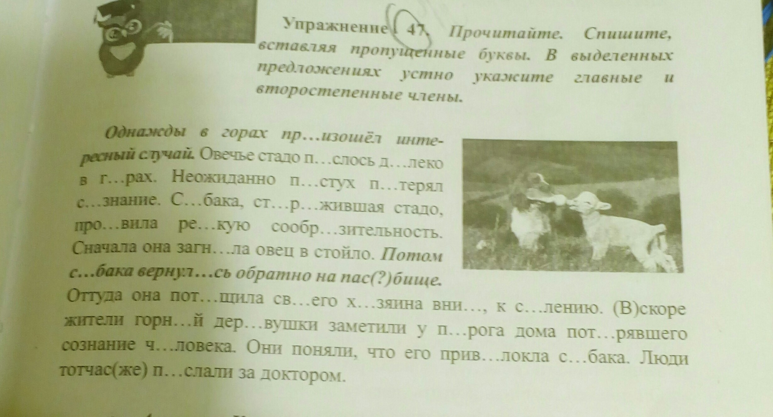 Упражнение 47. Упражнение 47 что такое 1. Упражнение 47 сделать предложение.