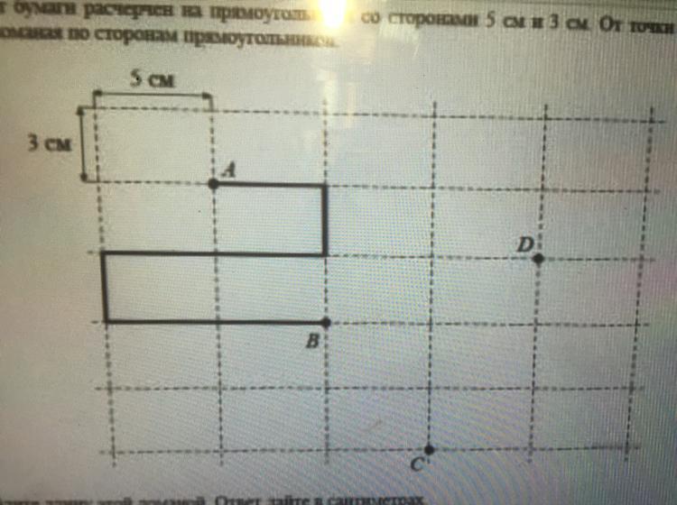 Лист бумаги расчерчен на прямоугольнике