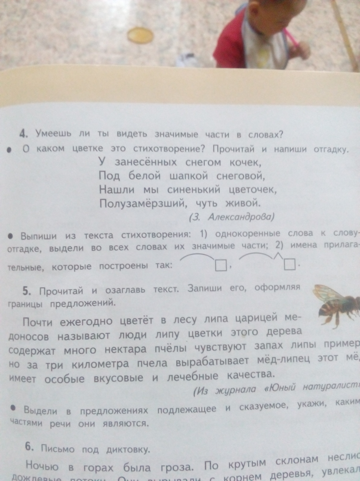 Слово прочитать значимые части. Слова названия значимых частей слова. Умеешь ли ты видеть значимые части в словах. Запиши текст по частям. Обозначь часть слова.