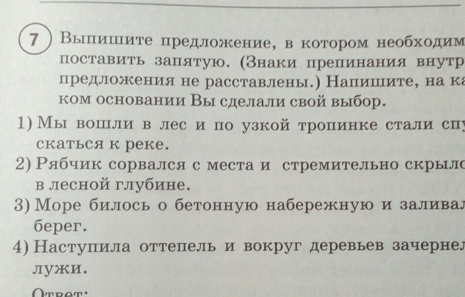 Где поставить запятую. Заявление проставить запятые. Поставь запятую. Поставь пропущенные запятые. Выпишите предложения и поставьте знаки препинания.