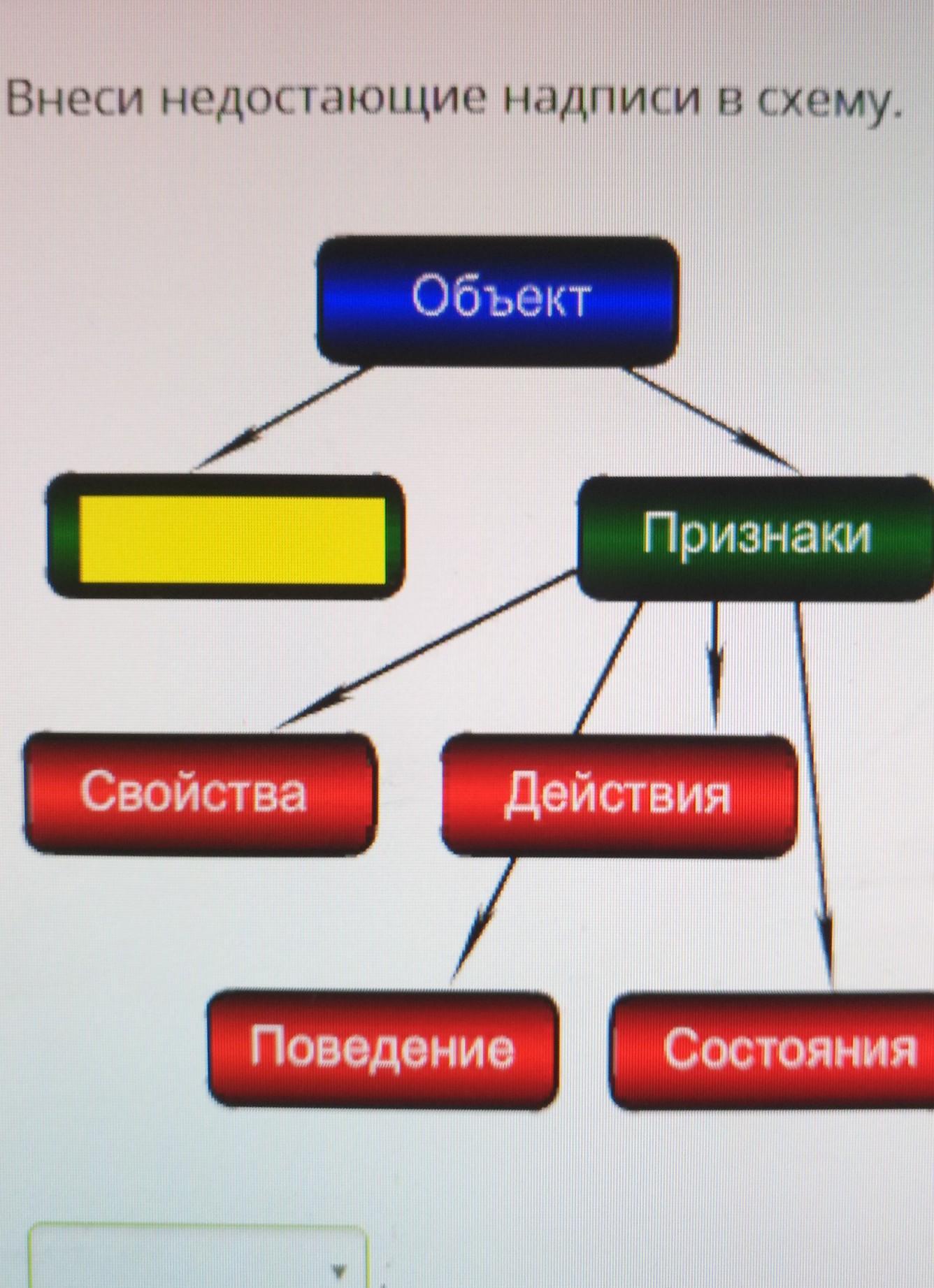 Внести недостающие надписи в схему объект признаки имя