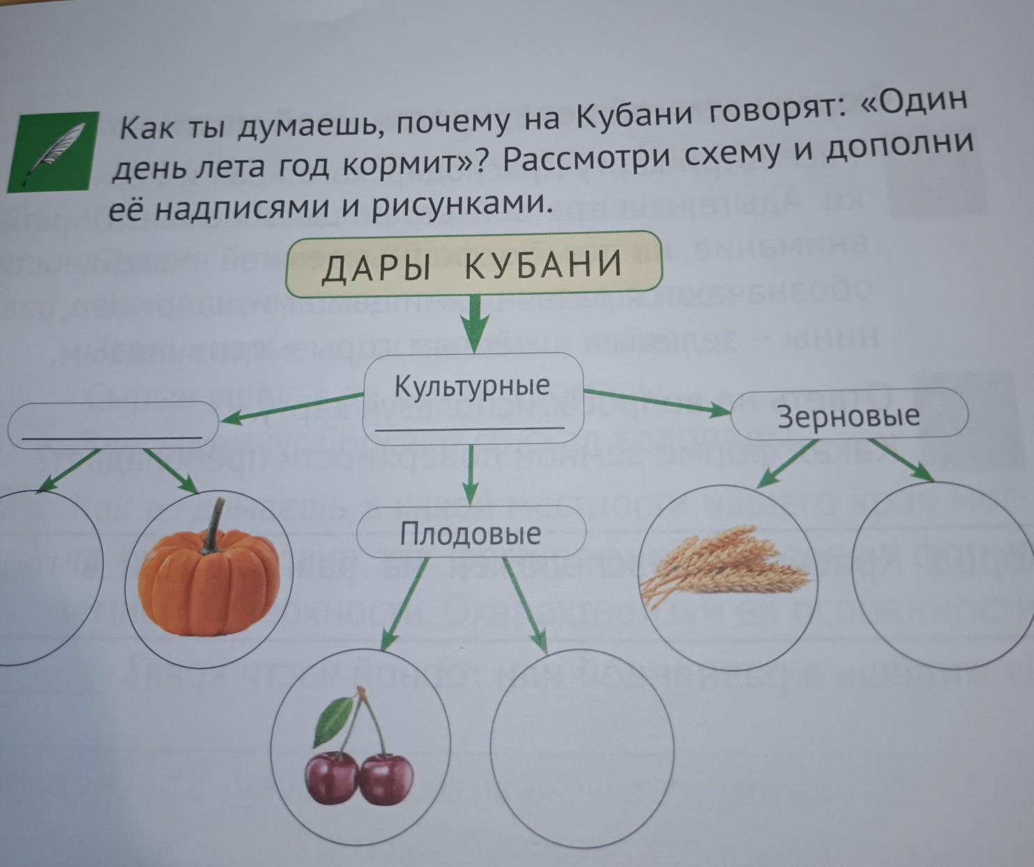 Рассмотрите схему защитной реакции организма человека дайте название этому явлению