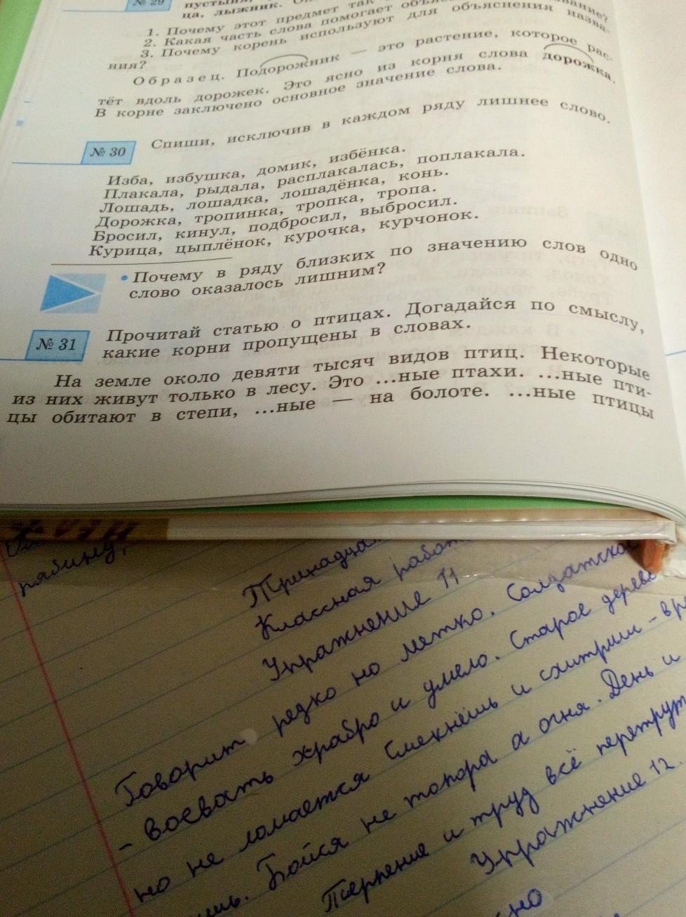 Какой корень пропущен в словах. Догадайся какое слово пропущено в тексте. Какой корень в слове птица. Прочитай догадайся по смыслу какие корни пропущены в словах. Догадайся какой корень пропущен в словах вставь его в слова.