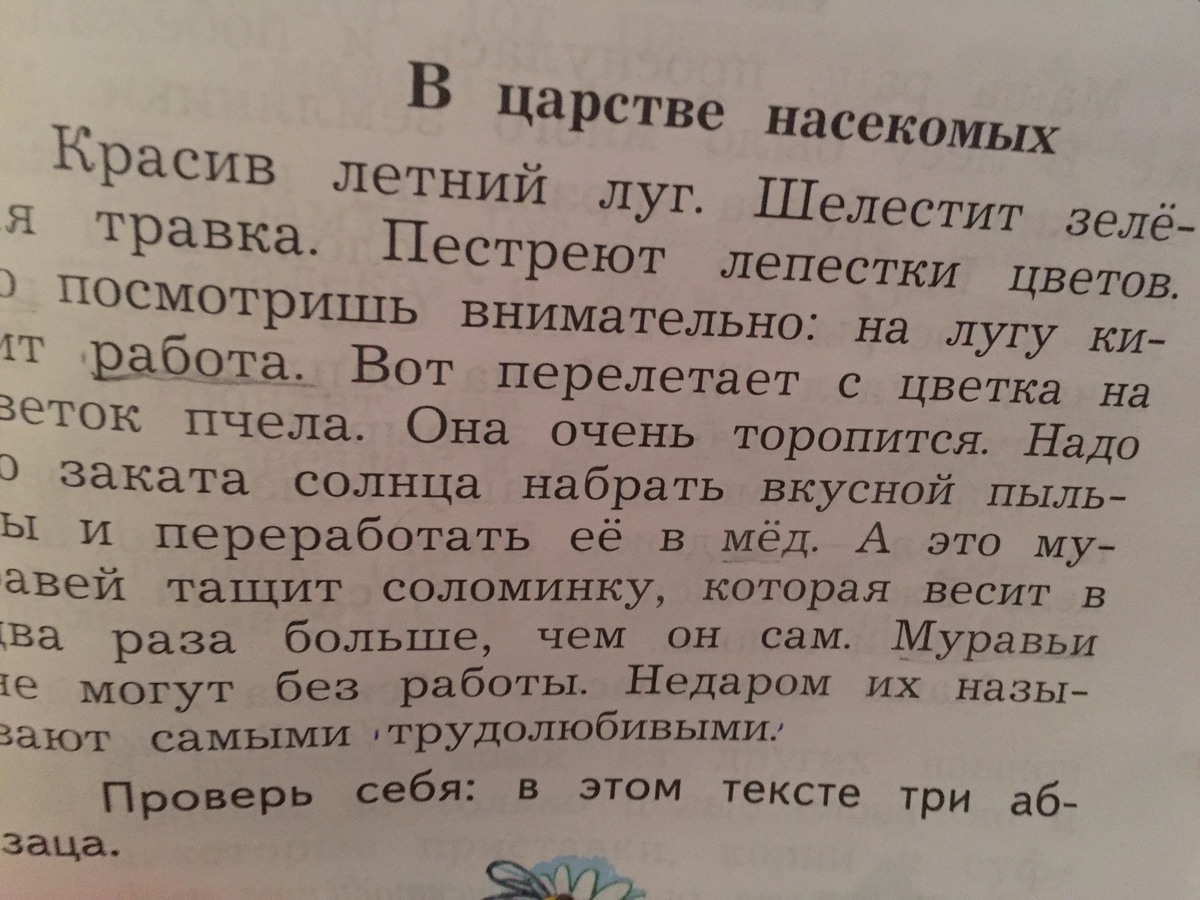 Скажите пожалуйста надо. В царстве насекомых текст. В царстве насекомых абзацы. Текст в царстве насекомых 2 класс. В царстве насекомых разделить на абзацы.