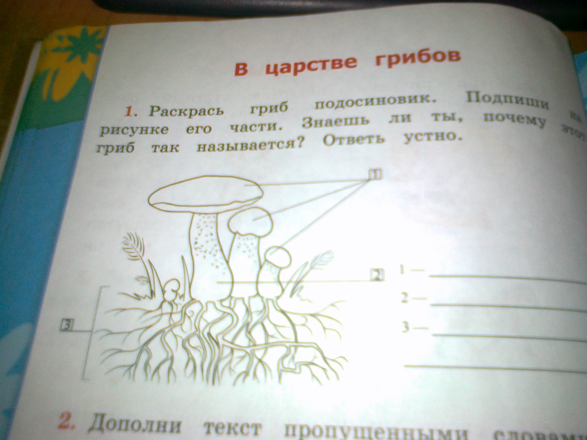Рассмотри рисунок дополни текст. Раскрась гриб подосиновик Подпиши. Подписать части гриба подосиновик. Предложение со словом грибница.
