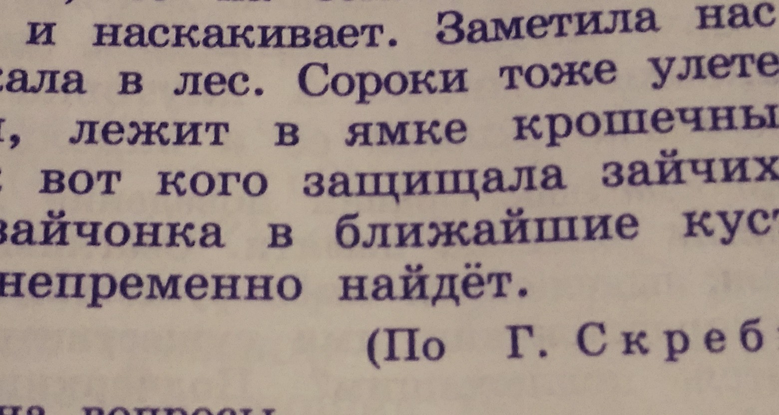 План разбойники. Длиннохвостые разбойники изложение. План рассказа длиннохвостые разбойники дополни. Длиннохвостые разбойники диктант. Стих длиннохвостые разбойницы.