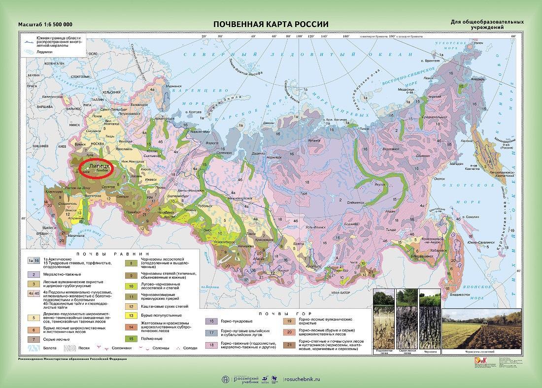 Карта растительности архангельской области