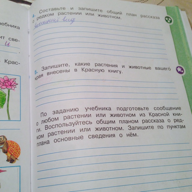 Составьте и запишите общий план рассказа о редком растении и животном окружающий мир 2 класс