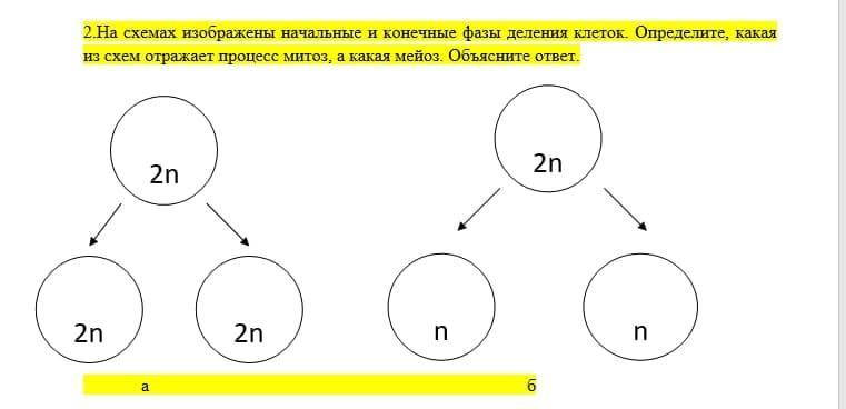 На рисунке 1 изображены схемы двух опытов. Деление схема в начальных классах. Какой процесс изображен на схеме. Пустая схема для из 4 делений. Какой код схемы соответствует схеме деления структурной.