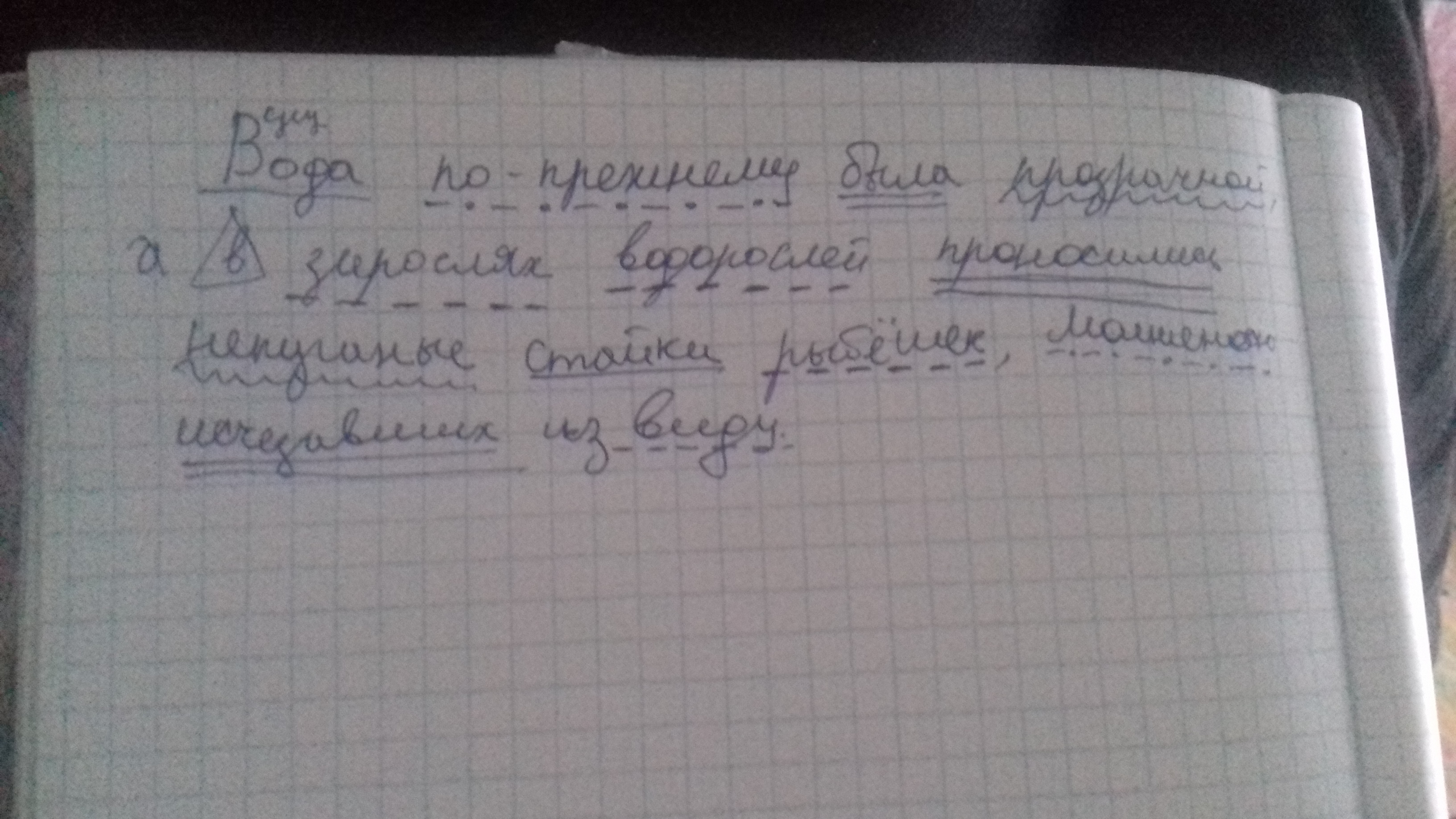 Синтаксический разбор водорослями. Водорослями синтаксический разбор. Синтаксический разбор в зарослях водорослей проносились. Разбор предложения водоросли. Вода в реке была тёплая но очень мутная разбор предложения.