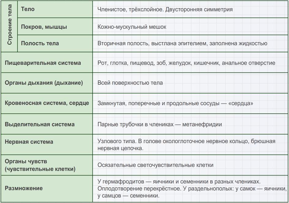 Рассмотрите рисунок 144 и ответьте в чем отличие покровов кольчатых червей и членистоногих