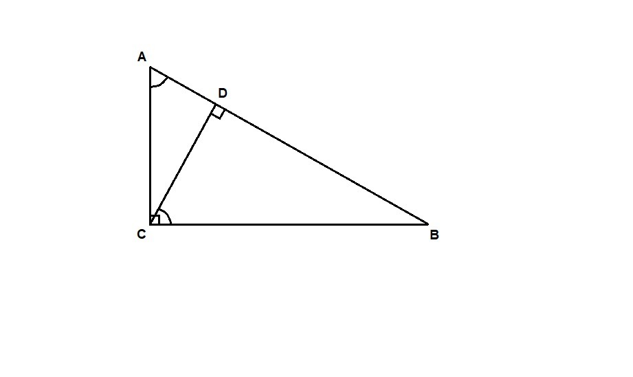 Найти угол авс если ав сд. Прямоугольный треугольник АБС угол с 90 градусов. Треугольник АВС прямоугольный угол с 90. Прямоугольный треугольник АВС С углом 90 градусов. Треугольник АВС угол с 90 градусов.