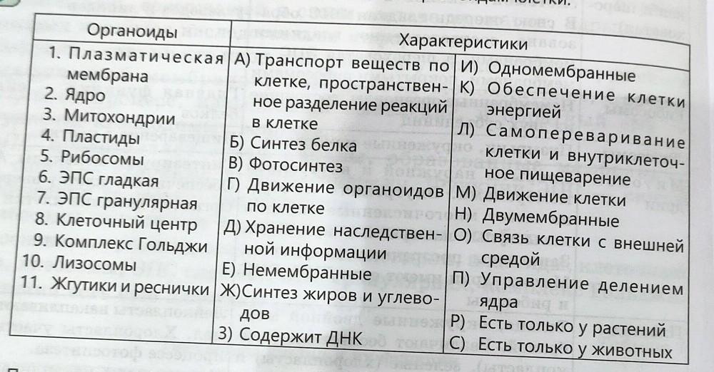 Распределите характеристики