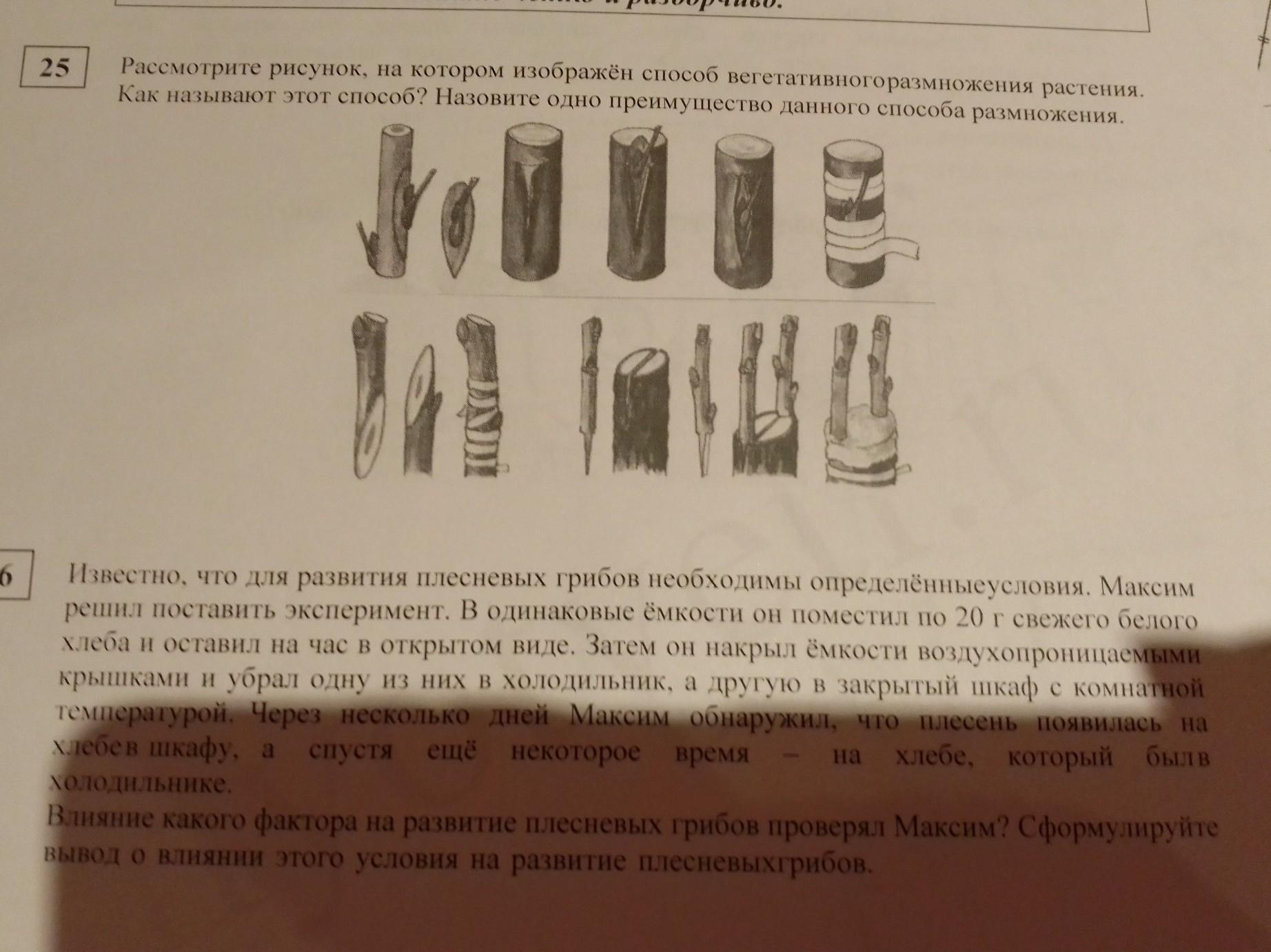 Для чего используется метод изображенный на рисунке укажите верный вариант ответа