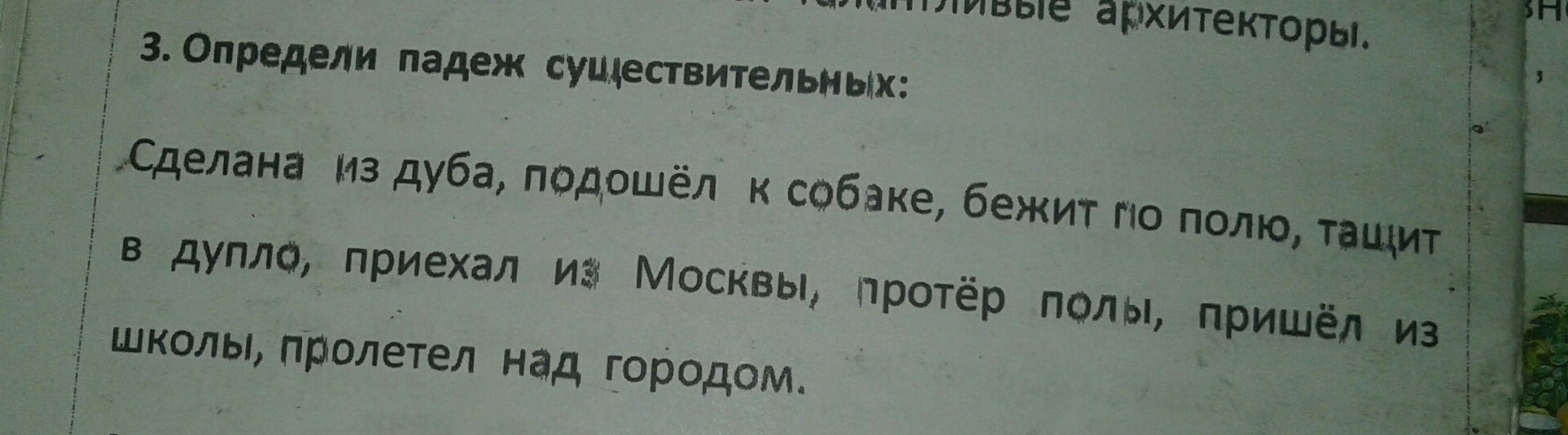 Дуб падеж. Тащит в дупло какой падеж. Тащит в дупло какой падеж существительного. Дупло падежи. Определить падеж тащит в дупло.