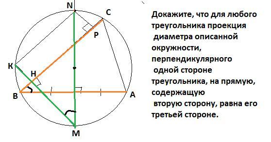 Окружность перпендикулярная прямой. Перпендикулярный треугольник. Проекция на диаметр окружности. Диаметр треугольника. Около любого треугольника можно описать окружность.