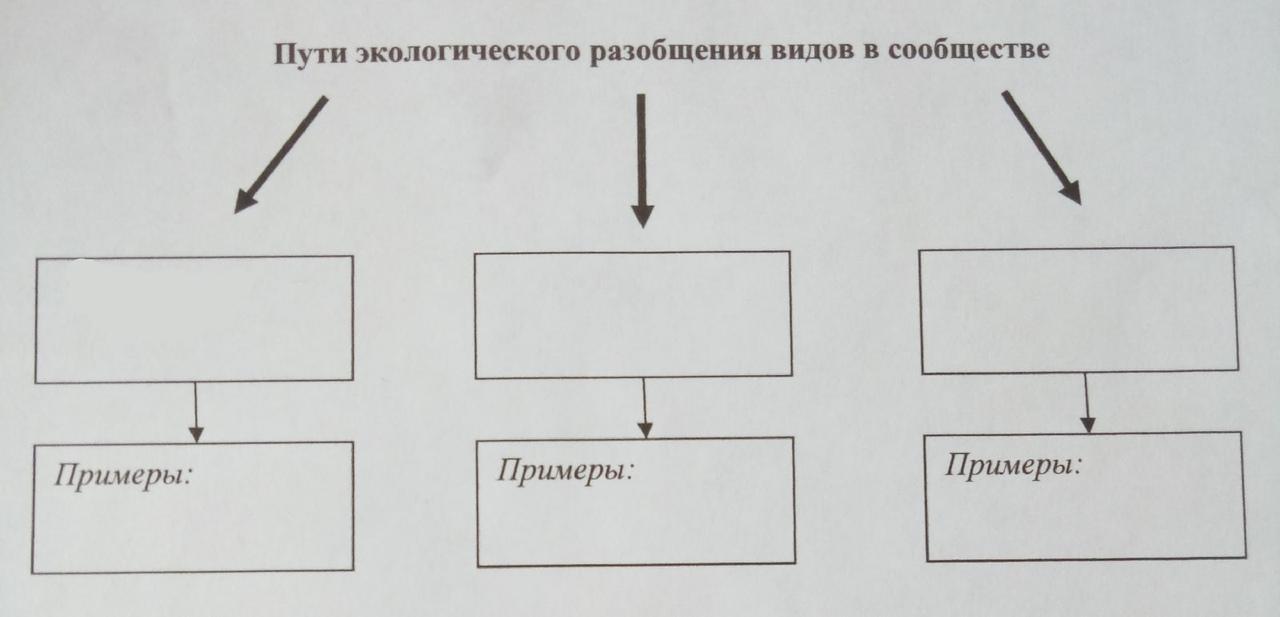 Заполни схему семя