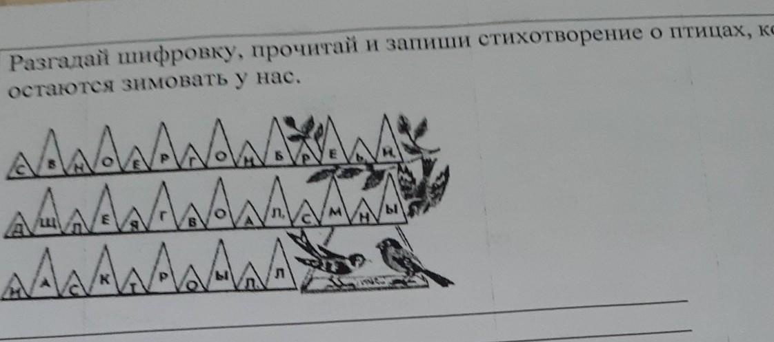 Запиши стихотворение. Шифровки про птиц. Разгадай древнюю шифровку.