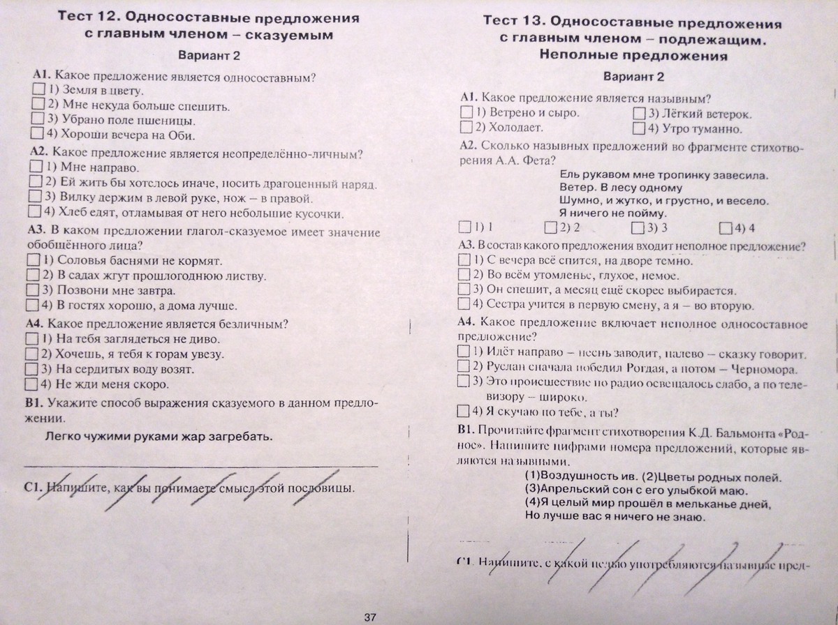 Вводный тест по русскому 8 класс
