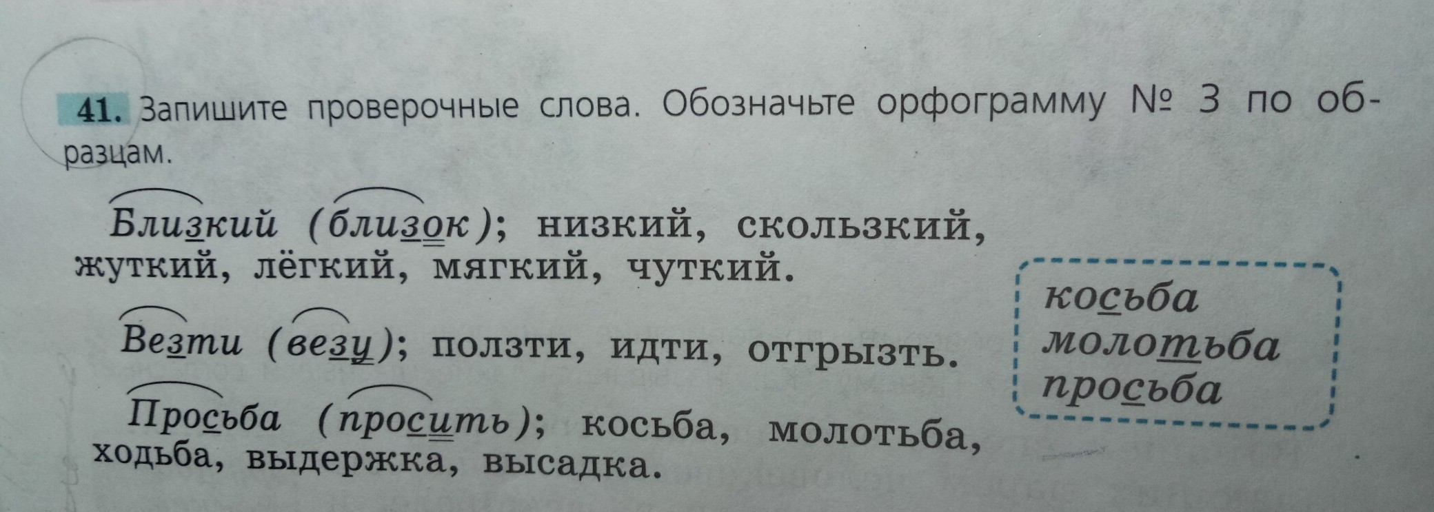 Проверочное слово к слову язык. Проверочные слова. Проверочное слово к слову чуткий. Ползти проверочное слово. Проверочное слово к слову молотьба.