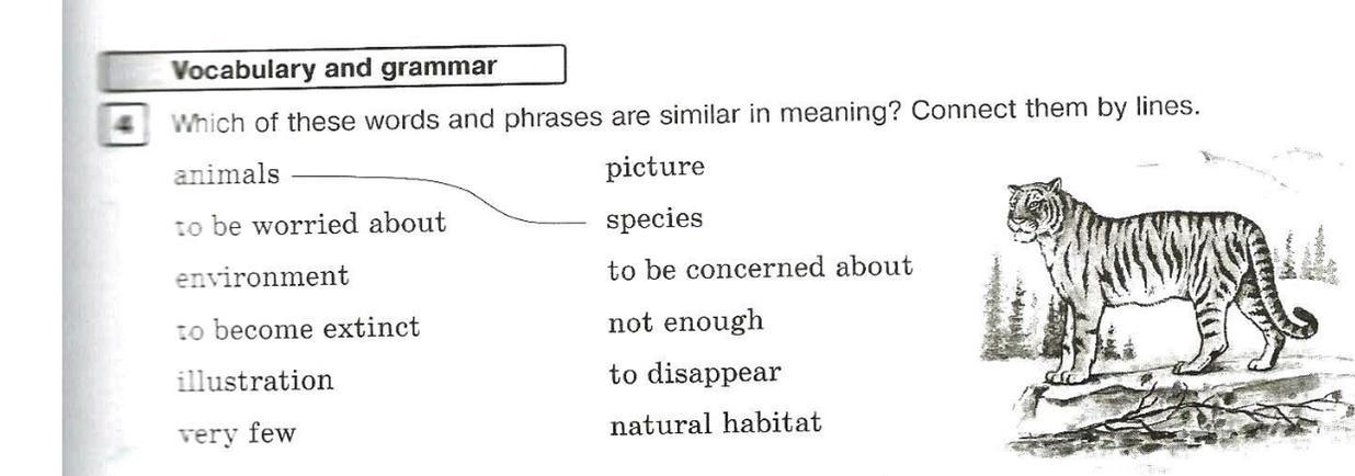 Similar meaning words. 5 На англ.